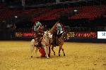 Quadrille - 00370